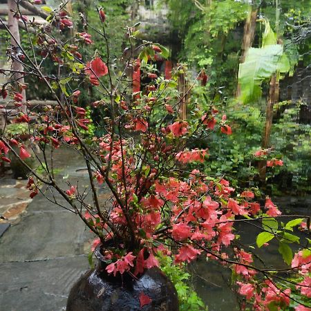 Wuyuan Qiye Yanxiang Guesthouse المظهر الخارجي الصورة