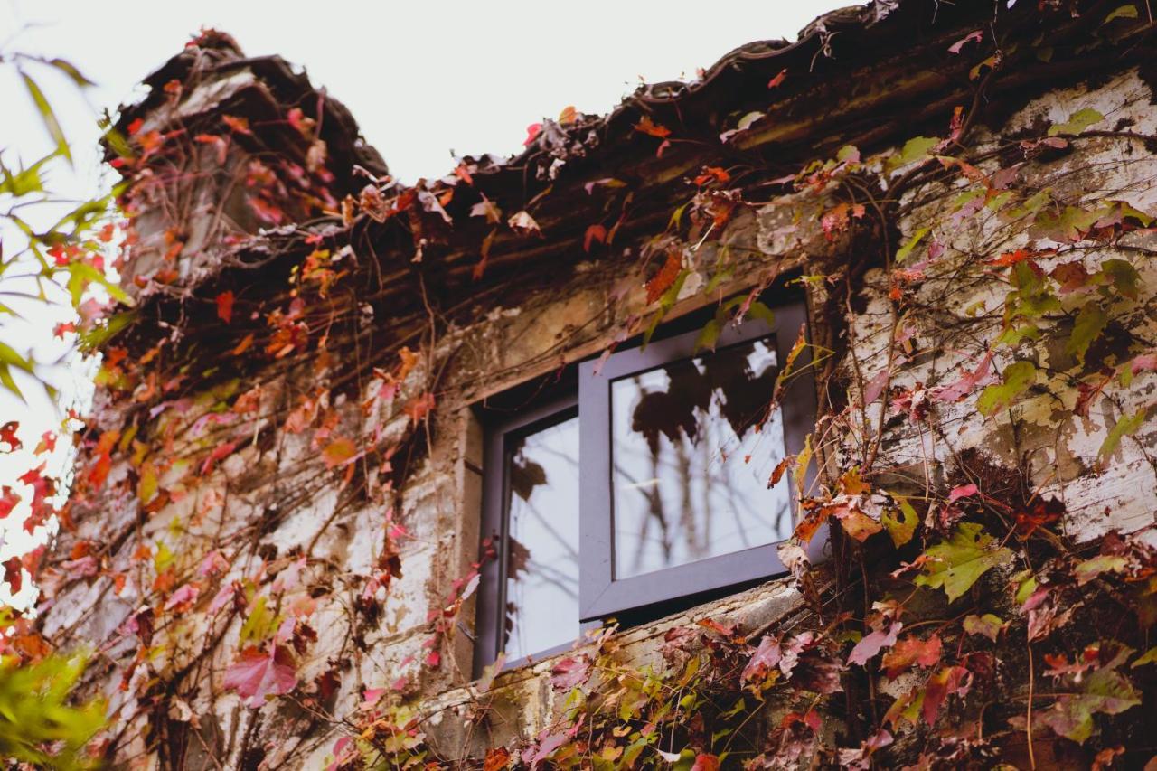 Wuyuan Qiye Yanxiang Guesthouse المظهر الخارجي الصورة